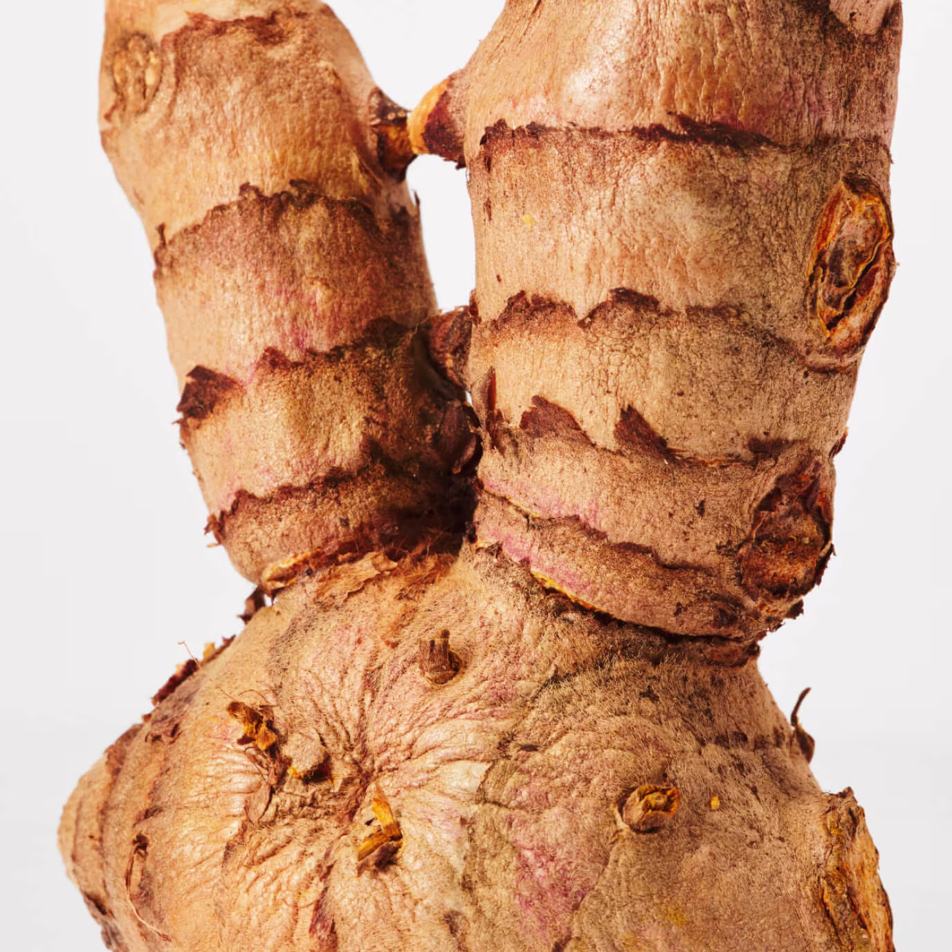 Curcumin